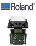 Roland